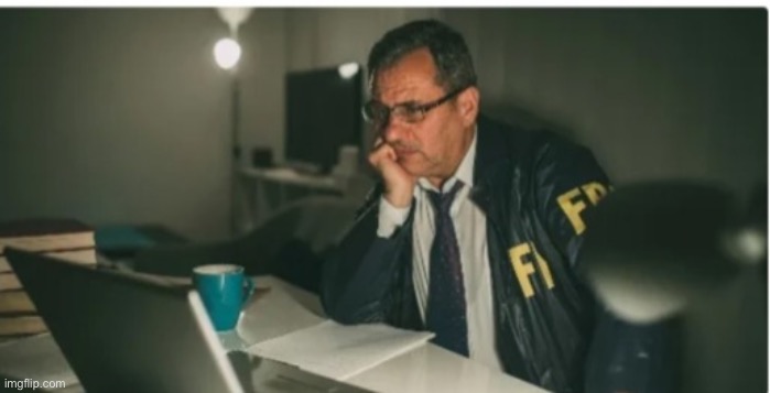 FBI Agent on computer | image tagged in fbi agent on computer | made w/ Imgflip meme maker