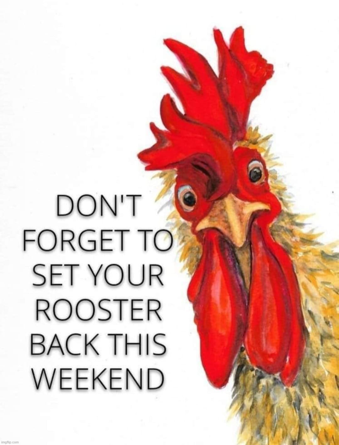 Don't forget to set your rooster back this weekend. | image tagged in daylight savings time,scumbag daylight savings time,daylight saving time,daylight savings,cock rooster | made w/ Imgflip meme maker