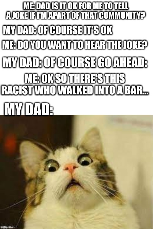 whooops..... | ME: DAD IS IT OK FOR ME TO TELL A JOKE IF I'M APART OF THAT COMMUNITY? MY DAD: OF COURSE IT'S OK; ME: DO YOU WANT TO HEAR THE JOKE? MY DAD: OF COURSE GO AHEAD:; ME: OK SO THERE'S THIS RACIST WHO WALKED INTO A BAR... MY DAD: | image tagged in blank white template,racist,fun,funny,scared cat | made w/ Imgflip meme maker
