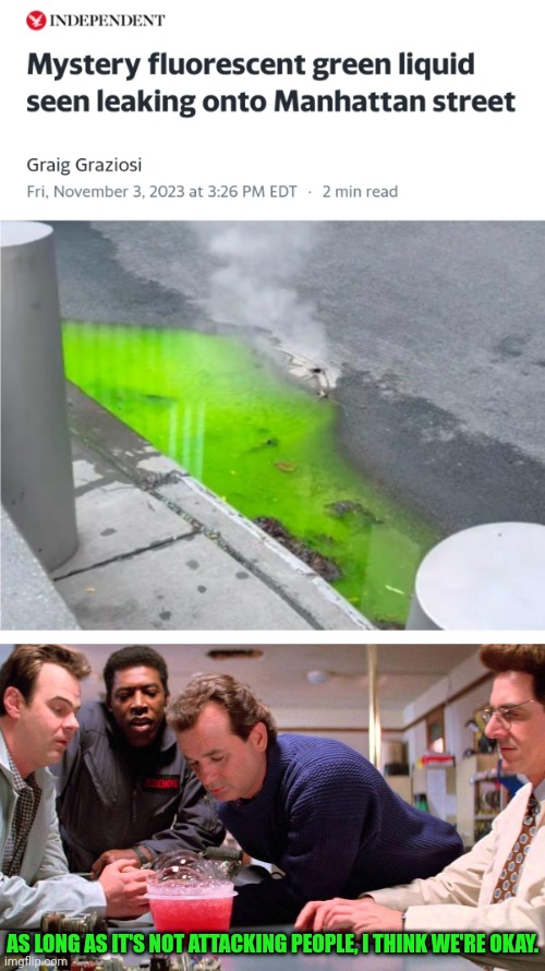 Who you gonna call | AS LONG AS IT'S NOT ATTACKING PEOPLE, I THINK WE'RE OKAY. | image tagged in ghostbusters,green,slime | made w/ Imgflip meme maker