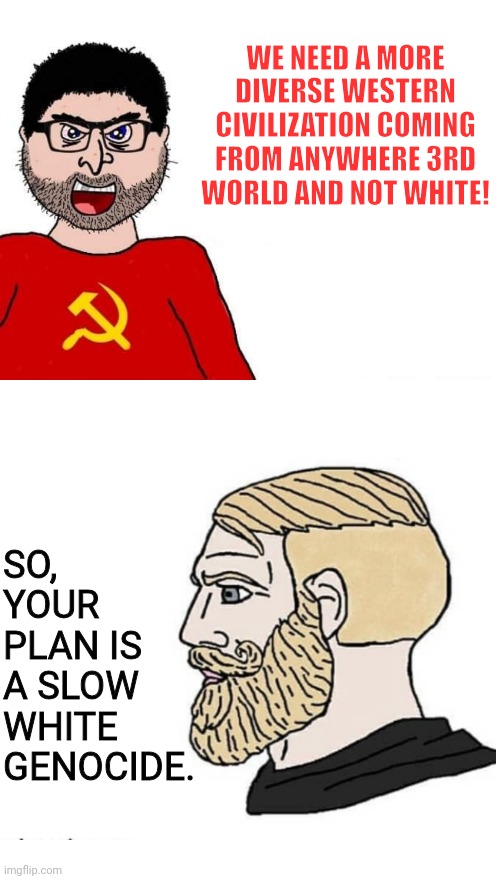 No thanks. | WE NEED A MORE DIVERSE WESTERN CIVILIZATION COMING FROM ANYWHERE 3RD WORLD AND NOT WHITE! SO, YOUR PLAN IS A SLOW WHITE GENOCIDE. | image tagged in well aktually man,soyboy vs yes chad,white,genocide | made w/ Imgflip meme maker