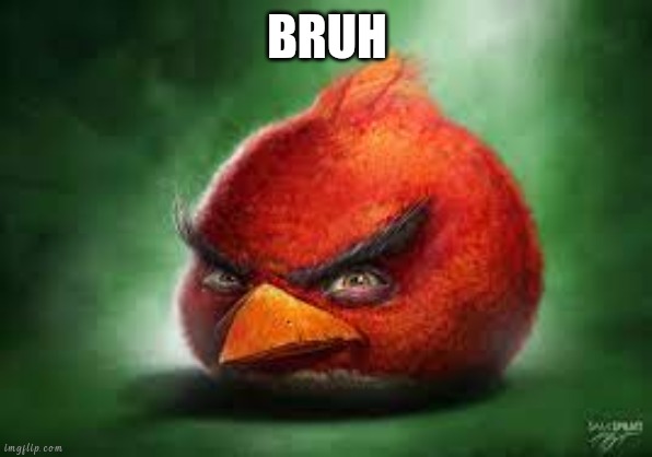 Realistic Red Angry Birds | BRUH | image tagged in realistic red angry birds | made w/ Imgflip meme maker