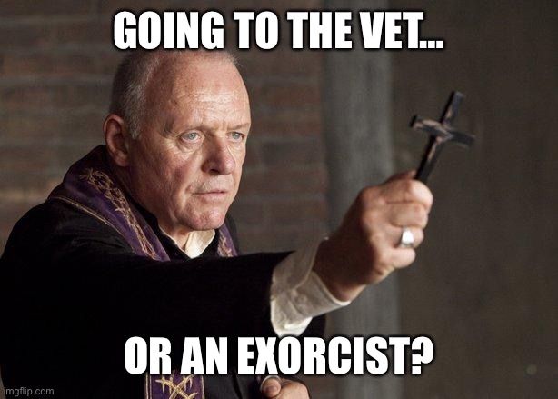Priest | GOING TO THE VET… OR AN EXORCIST? | image tagged in priest | made w/ Imgflip meme maker