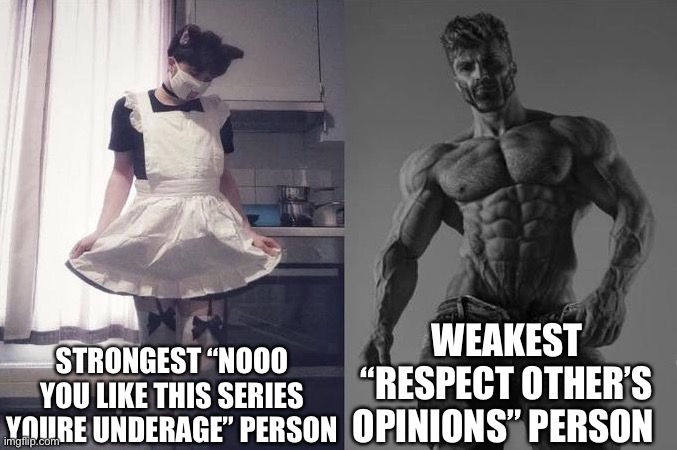 Strongest Fan VS Weakest Fan | STRONGEST “NOOO YOU LIKE THIS SERIES YOURE UNDERAGE” PERSON; WEAKEST “RESPECT OTHER’S OPINIONS” PERSON | image tagged in strongest fan vs weakest fan | made w/ Imgflip meme maker