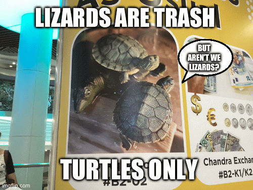 Turtles only | LIZARDS ARE TRASH; BUT AREN’T WE LIZARDS? TURTLES ONLY | image tagged in turtles | made w/ Imgflip images-to-gif maker