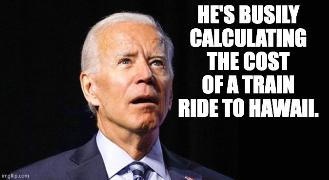 Biden | HE'S BUSILY CALCULATING THE COST OF A TRAIN RIDE TO HAWAII. | image tagged in confused joe biden | made w/ Imgflip meme maker