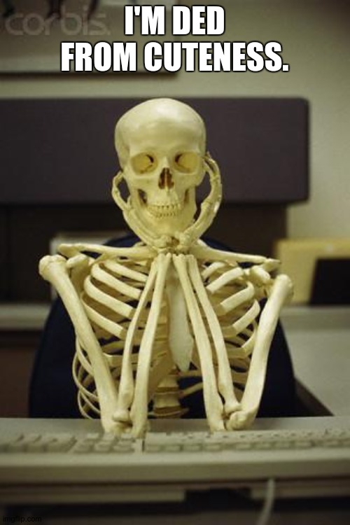 Waiting Skeleton | I'M DED FROM CUTENESS. | image tagged in waiting skeleton | made w/ Imgflip meme maker