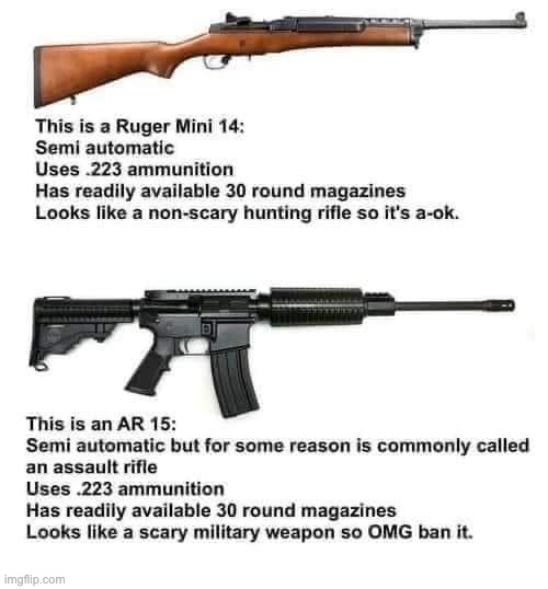 AR stands for Armalite Rifle, not Assault Rifle | image tagged in gun control | made w/ Imgflip meme maker