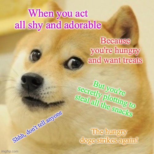 Shy doge | When you act all shy and adorable; Because you're hungry and want treats; But you're secretly plotting to steal all the snacks; Shhh, don't tell anyone; The hungry doge strikes again! | image tagged in memes,doge | made w/ Imgflip meme maker