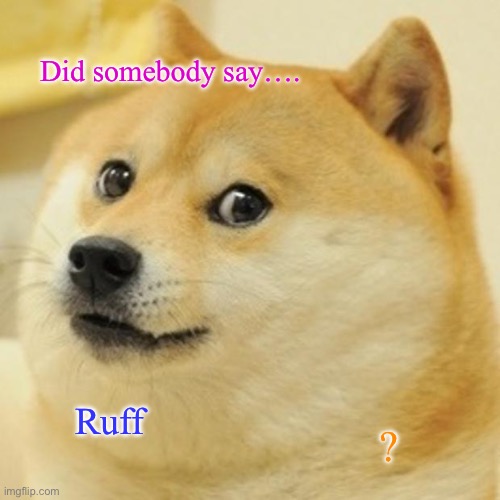 Doge Meme | Did somebody say…. Ruff; ? | image tagged in memes,doge | made w/ Imgflip meme maker