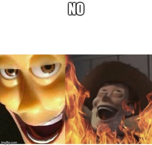 Fire Woody | NO | image tagged in fire woody | made w/ Imgflip meme maker