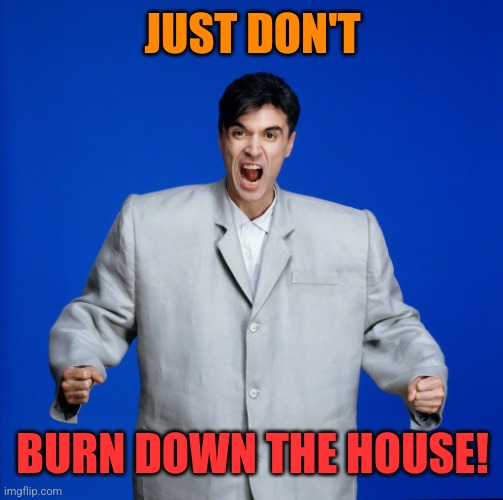 David Byrne Big Suit | JUST DON'T BURN DOWN THE HOUSE! | image tagged in david byrne big suit | made w/ Imgflip meme maker