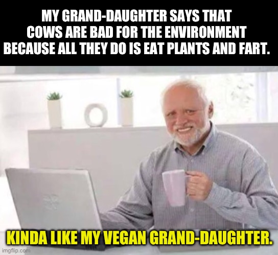 Vegan | MY GRAND-DAUGHTER SAYS THAT COWS ARE BAD FOR THE ENVIRONMENT BECAUSE ALL THEY DO IS EAT PLANTS AND FART. KINDA LIKE MY VEGAN GRAND-DAUGHTER. | image tagged in harold | made w/ Imgflip meme maker