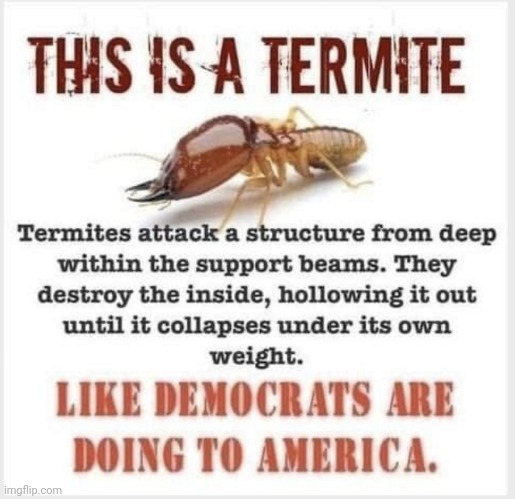 This is a Termite | made w/ Imgflip meme maker