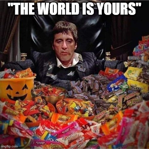 Scarface | "THE WORLD IS YOURS" | image tagged in funny,memes | made w/ Imgflip meme maker