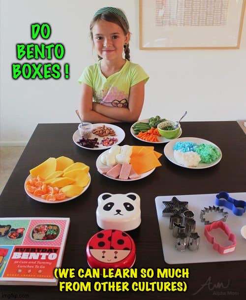 DO
BENTO
BOXES ! (WE CAN LEARN SO MUCH 
FROM OTHER CULTURES) | made w/ Imgflip meme maker