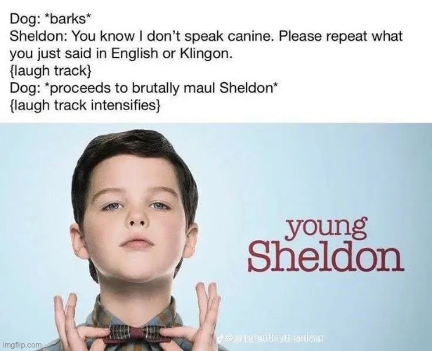 Silly sheldon | image tagged in silly | made w/ Imgflip meme maker
