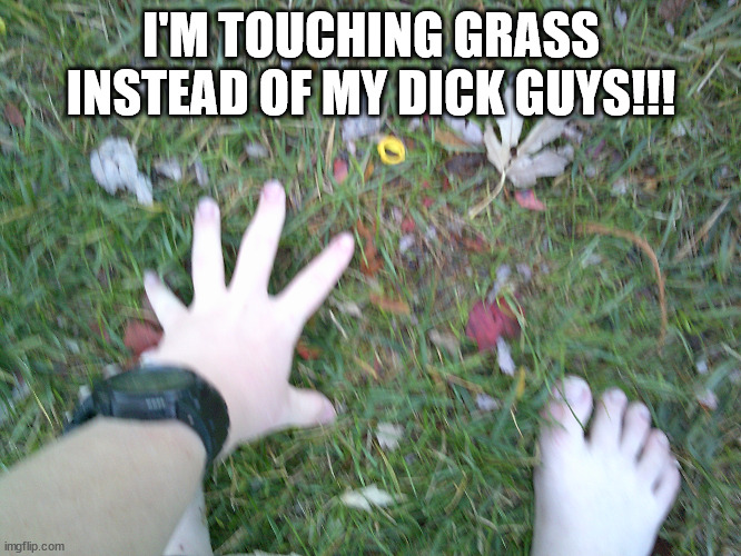 I'M TOUCHING GRASS INSTEAD OF MY DICK GUYS!!! | made w/ Imgflip meme maker