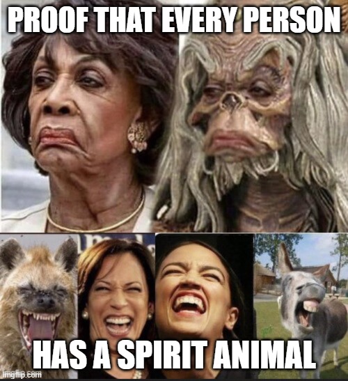 Spirit Animals | PROOF THAT EVERY PERSON; HAS A SPIRIT ANIMAL | image tagged in spirit animals | made w/ Imgflip meme maker