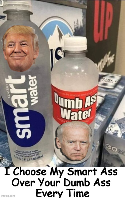 Dumb Is Forever | I Choose My Smart Ass 
Over Your Dumb Ass 
Every Time | image tagged in politics,political  humor,donald trump,joe biden,smart guy,dumbass | made w/ Imgflip meme maker