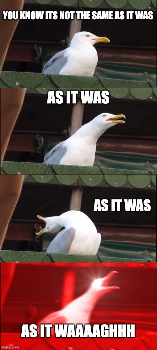 Inhaling Seagull | YOU KNOW ITS NOT THE SAME AS IT WAS; AS IT WAS; AS IT WAS; AS IT WAAAAGHHH | image tagged in memes,inhaling seagull | made w/ Imgflip meme maker