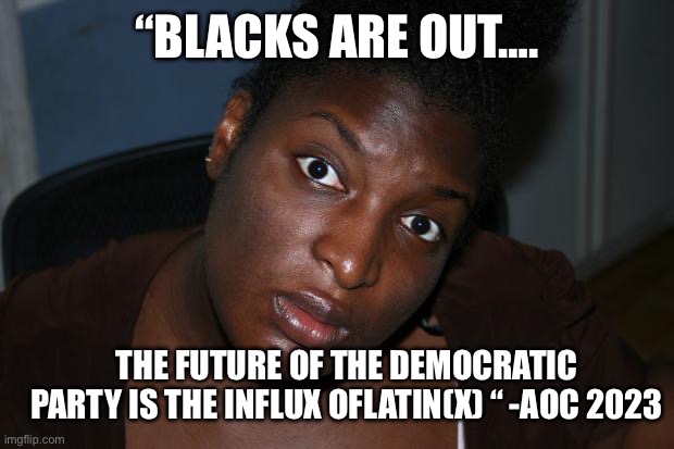 Blacks are out | “BLACKS ARE OUT…. THE FUTURE OF THE DEMOCRATIC PARTY IS THE INFLUX OFLATIN(X) “ -AOC 2023 | image tagged in mad black woman,memes,funny,gifs | made w/ Imgflip meme maker