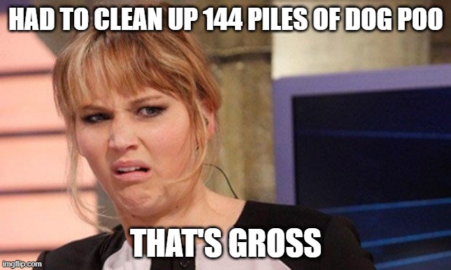Clean Up | HAD TO CLEAN UP 144 PILES OF DOG POO; THAT'S GROSS | image tagged in grossed out | made w/ Imgflip meme maker