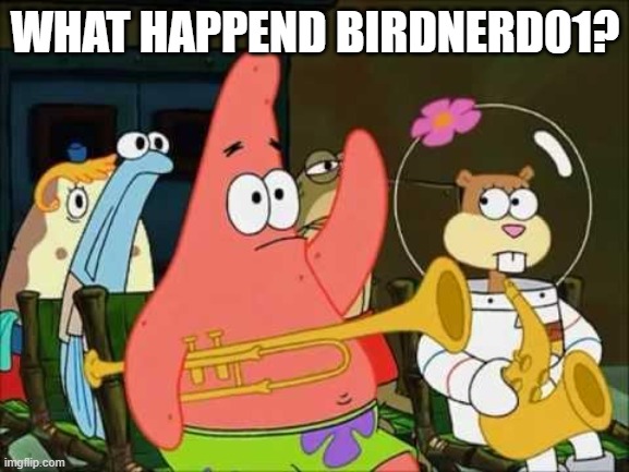 questioning patrick | WHAT HAPPEND BIRDNERD01? | image tagged in questioning patrick | made w/ Imgflip meme maker