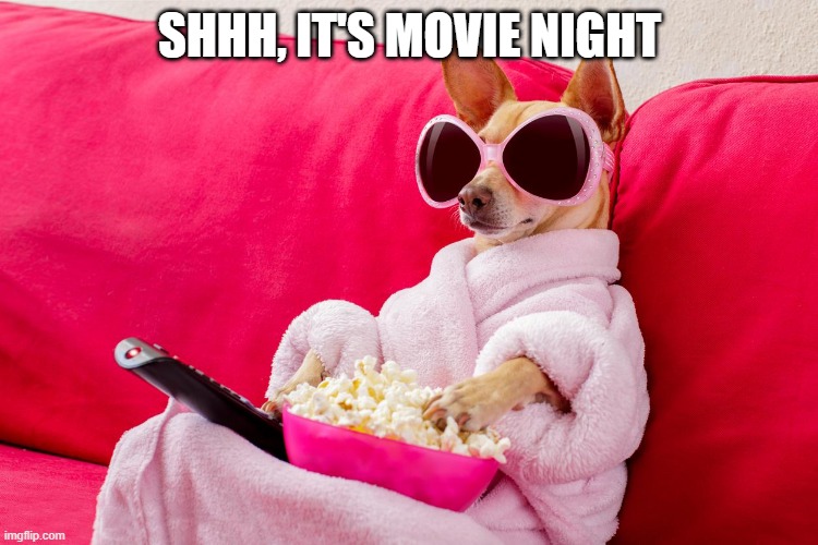 Movie Night | SHHH, IT'S MOVIE NIGHT | image tagged in funny dogs | made w/ Imgflip meme maker