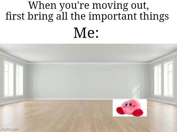 GIANT KIRBY PLUSHIE!!! | When you're moving out, first bring all the important things; Me: | image tagged in memes,kirby,plush,giant,so true memes,funny | made w/ Imgflip meme maker
