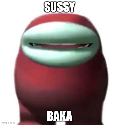Sussy baka | SUSSY; BAKA | image tagged in amogus sussy | made w/ Imgflip meme maker