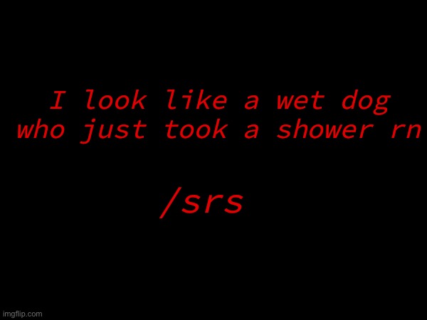 I look like a wet dog who just took a shower rn; /srs | made w/ Imgflip meme maker