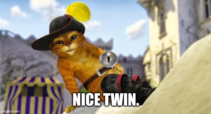 Puss in boots | NICE TWIN. | image tagged in puss in boots | made w/ Imgflip meme maker