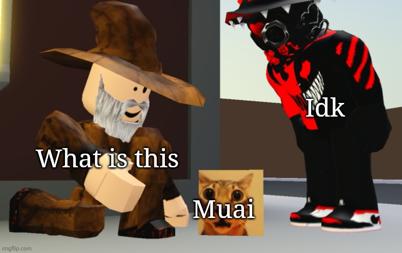 Idk; What is this; Muai | image tagged in my man what is this shit | made w/ Imgflip meme maker