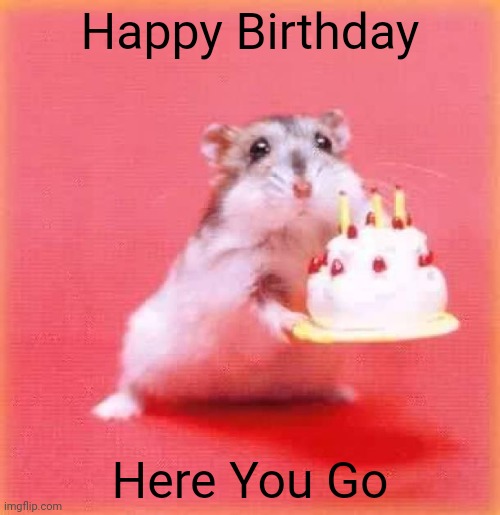 Happy Birthday | Happy Birthday; Here You Go | image tagged in birthday hamster | made w/ Imgflip meme maker