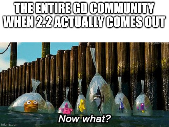 Now What? | THE ENTIRE GD COMMUNITY WHEN 2.2 ACTUALLY COMES OUT | image tagged in now what | made w/ Imgflip meme maker