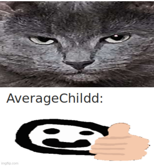 Kot | image tagged in averagechildd,cat,cats,not funny | made w/ Imgflip meme maker