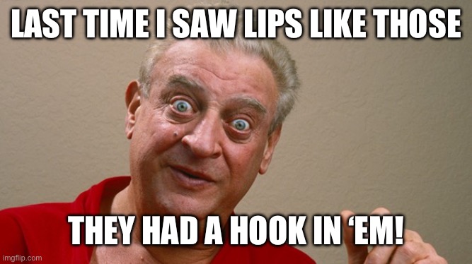 Rodney Dangerfield | LAST TIME I SAW LIPS LIKE THOSE THEY HAD A HOOK IN ‘EM! | image tagged in rodney dangerfield | made w/ Imgflip meme maker