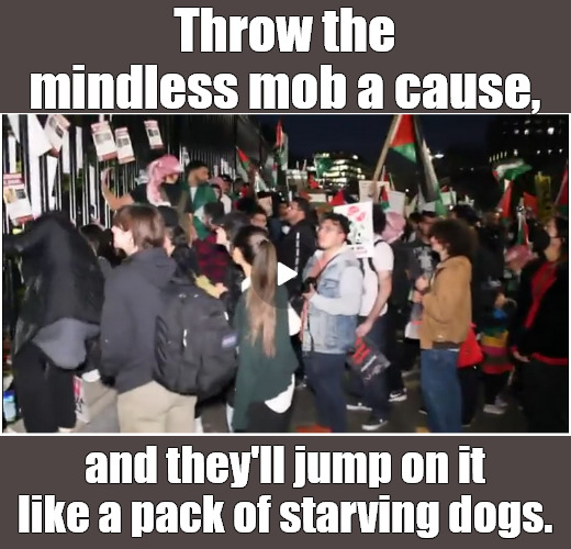 When the Godless need to justify their existence, they'll catch the first parade to hell. | Throw the mindless mob a cause, and they'll jump on it like a pack of starving dogs. | image tagged in memes,politics,israel,hamas,palestinians | made w/ Imgflip meme maker