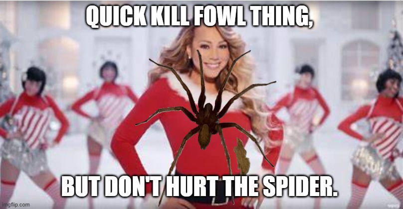 mariah carey | QUICK KILL FOWL THING, BUT DON'T HURT THE SPIDER. | image tagged in all i want for christmas is you,spider,funny,nooo | made w/ Imgflip meme maker