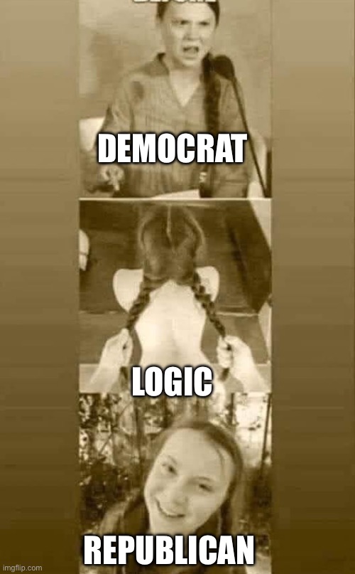 The TRANSformation | DEMOCRAT; LOGIC; REPUBLICAN | image tagged in climate change,memes | made w/ Imgflip meme maker
