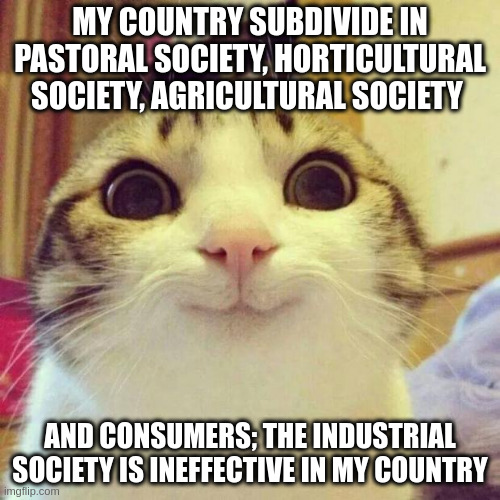 ineffective | MY COUNTRY SUBDIVIDE IN PASTORAL SOCIETY, HORTICULTURAL SOCIETY, AGRICULTURAL SOCIETY; AND CONSUMERS; THE INDUSTRIAL SOCIETY IS INEFFECTIVE IN MY COUNTRY | image tagged in memes,smiling cat | made w/ Imgflip meme maker
