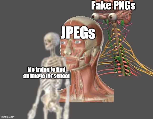 It's always those two types of images... | Fake PNGs; JPEGs; Me trying to find an image for school | image tagged in so true memes | made w/ Imgflip meme maker