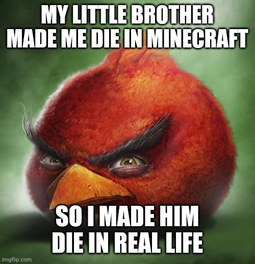 Minecraft meme | MY LITTLE BROTHER MADE ME DIE IN MINECRAFT; SO I MADE HIM DIE IN REAL LIFE | image tagged in minecraft,realistic red angry birds | made w/ Imgflip meme maker