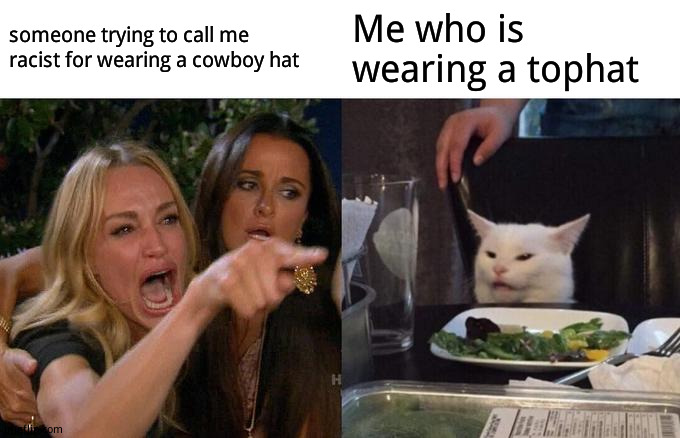 Shockingly and   sadly, this happened. | someone trying to call me racist for wearing a cowboy hat; Me who is  wearing a tophat | image tagged in memes,woman yelling at cat,stupid people be like | made w/ Imgflip meme maker