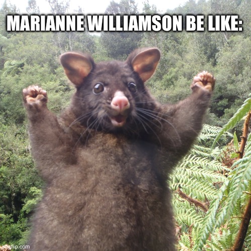 Marianne Williamson Be Like: | MARIANNE WILLIAMSON BE LIKE: | image tagged in marianne williamson,possum,political meme,politics,cute animals,animal meme | made w/ Imgflip meme maker