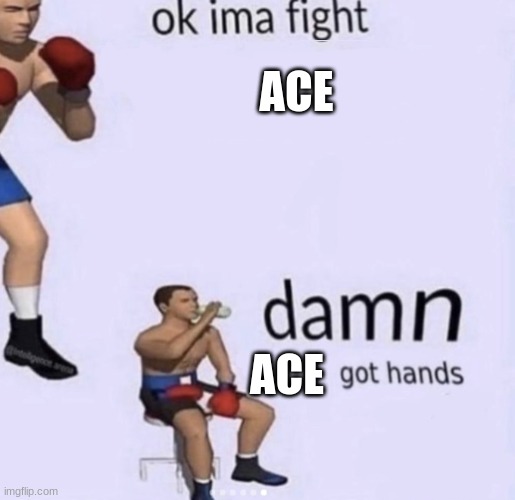 damn got hands | ACE ACE | image tagged in damn got hands | made w/ Imgflip meme maker