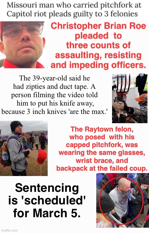 Stockade vs Roe | image tagged in assault,pitched a fit,domestic terrorists,tuff guy when in crowd with weapon,treason | made w/ Imgflip meme maker