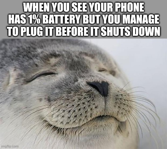 Satisfied Seal | WHEN YOU SEE YOUR PHONE HAS 1% BATTERY BUT YOU MANAGE TO PLUG IT BEFORE IT SHUTS DOWN | image tagged in memes,satisfied seal,funny,battery,charger,phone | made w/ Imgflip meme maker