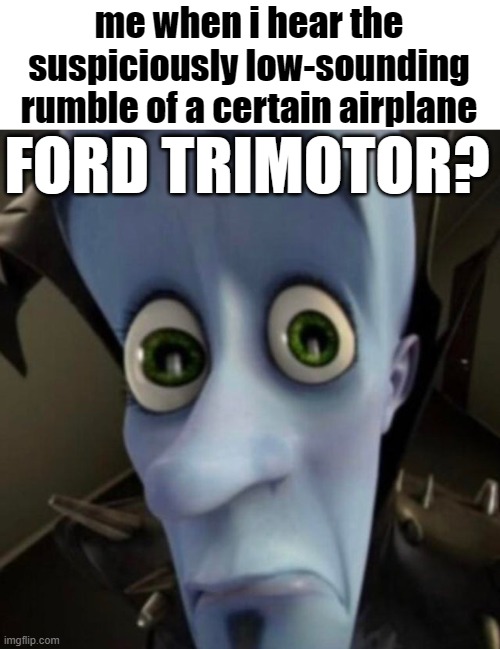 fun fact: NC8407 (a ford trimotor) is currently flying over my city A LOT | me when i hear the suspiciously low-sounding rumble of a certain airplane; FORD TRIMOTOR? | image tagged in bitches,ford trimotor | made w/ Imgflip meme maker